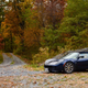 Illustration for article titled Your Leafy Lotus Elise Wallpapers Are Here
